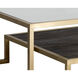 Carver 59 X 31.5 inch Clear / Matte Gold Coffee Table